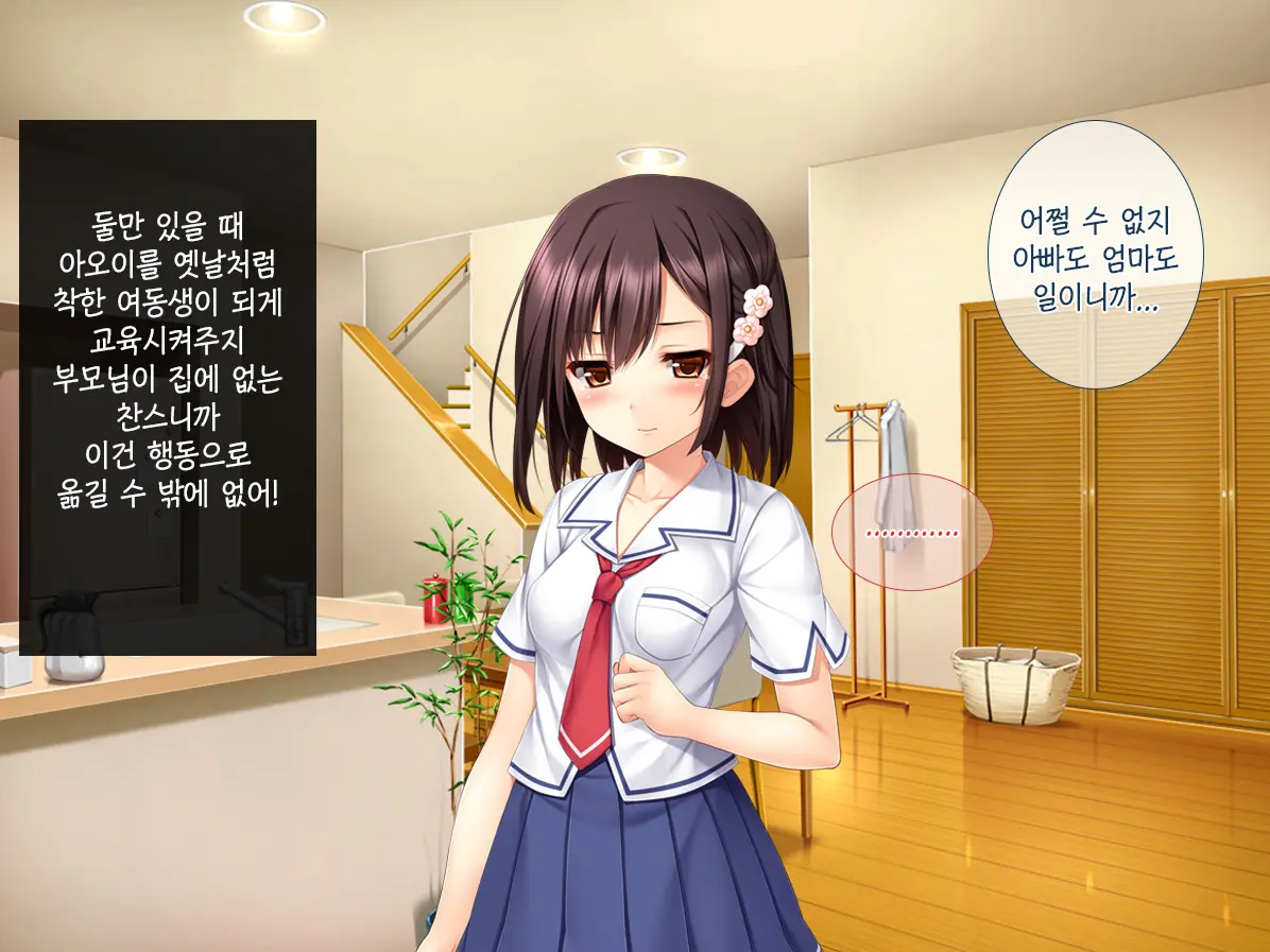 Imouto Ga Suki Sugiru Aniki Ga Kareshi Kara Netoru | 여동생을 엄청 좋아한 오빠가 남자친구에게서 여동생 빼앗기